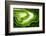 So Pure Collection - Slice of Green Agate-Philippe Hugonnard-Framed Photographic Print