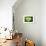 So Pure Collection - Slice of Green Agate-Philippe Hugonnard-Framed Photographic Print displayed on a wall