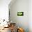 So Pure Collection - Slice of Green Agate-Philippe Hugonnard-Mounted Photographic Print displayed on a wall