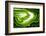 So Pure Collection - Slice of Green Agate-Philippe Hugonnard-Framed Photographic Print