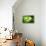 So Pure Collection - Slice of Green Agate-Philippe Hugonnard-Framed Premier Image Canvas displayed on a wall