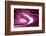 So Pure Collection - Slice of Pink Agate-Philippe Hugonnard-Framed Photographic Print