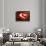 So Pure Collection - Slice of Red Agate-Philippe Hugonnard-Framed Photographic Print displayed on a wall