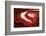 So Pure Collection - Slice of Red Agate-Philippe Hugonnard-Framed Photographic Print