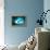 So Pure Collection - Slice of Turquoise Agate-Philippe Hugonnard-Framed Premier Image Canvas displayed on a wall