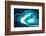 So Pure Collection - Slice of Turquoise Agate-Philippe Hugonnard-Framed Photographic Print