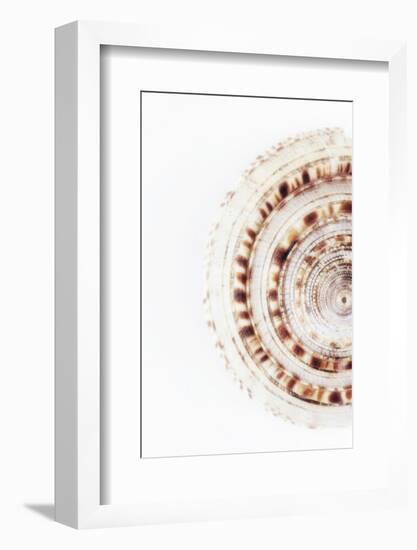 So Pure Collection - Sundial Shell II-Philippe Hugonnard-Framed Photographic Print