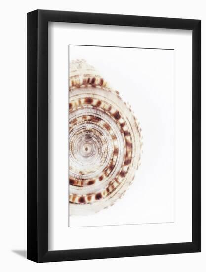 So Pure Collection - Sundial Shell III-Philippe Hugonnard-Framed Photographic Print