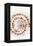 So Pure Collection - Sundial Shell IV-Philippe Hugonnard-Framed Premier Image Canvas