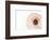 So Pure Collection - Swirl Sundial Sea Shell III-Philippe Hugonnard-Framed Photographic Print