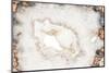 So Pure Collection - White Agate-Philippe Hugonnard-Mounted Photographic Print