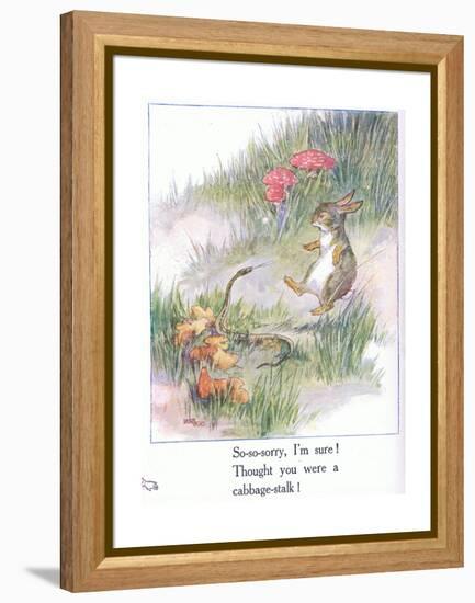 So-So-Sorry, I'M Sure! Thought You Were a Cabbage Stalk-Anne Anderson-Framed Premier Image Canvas