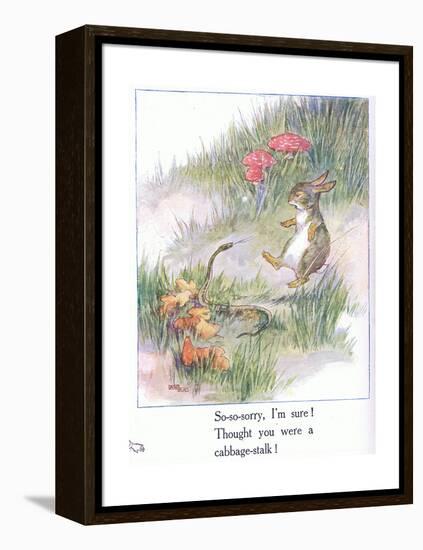 So-So-Sorry, I'M Sure! Thought You Were a Cabbage Stalk-Anne Anderson-Framed Premier Image Canvas