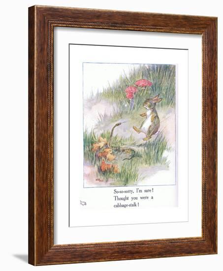 So-So-Sorry, I'M Sure! Thought You Were a Cabbage Stalk-Anne Anderson-Framed Giclee Print