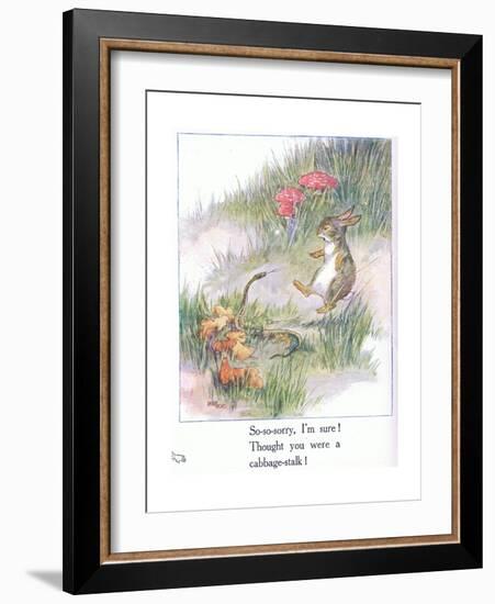 So-So-Sorry, I'M Sure! Thought You Were a Cabbage Stalk-Anne Anderson-Framed Giclee Print