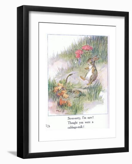 So-So-Sorry, I'M Sure! Thought You Were a Cabbage Stalk-Anne Anderson-Framed Giclee Print