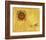 So Sunny, c. 1958-Andy Warhol-Framed Giclee Print