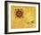 So Sunny, c. 1958-Andy Warhol-Framed Giclee Print