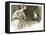 So That's Why, Looty Was a Pekingese-John Millar Watt-Framed Premier Image Canvas