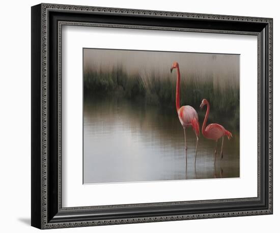 So Zen-Anna Cseresnjes-Framed Photographic Print