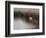 So Zen-Anna Cseresnjes-Framed Photographic Print