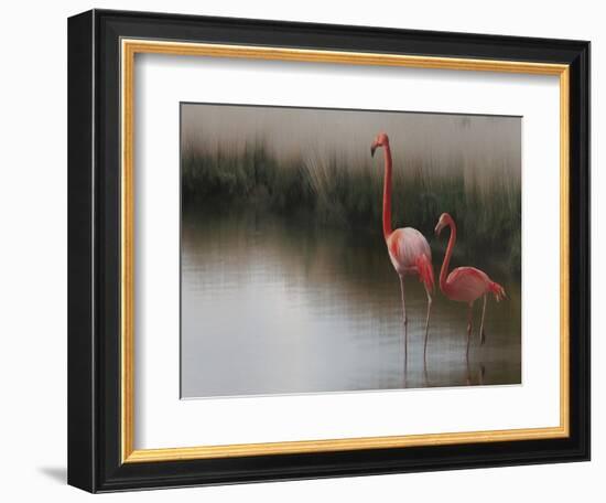 So Zen-Anna Cseresnjes-Framed Photographic Print