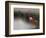 So Zen-Anna Cseresnjes-Framed Photographic Print