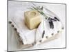 Soap and Lavender-Amelie Vuillon-Mounted Art Print