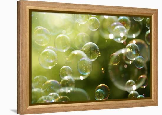 Soap Bubbles Floating in the Air as the Summer Sun Sets-Flynt-Framed Premier Image Canvas