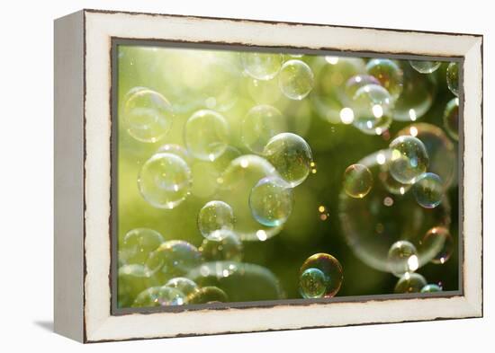 Soap Bubbles Floating in the Air as the Summer Sun Sets-Flynt-Framed Premier Image Canvas