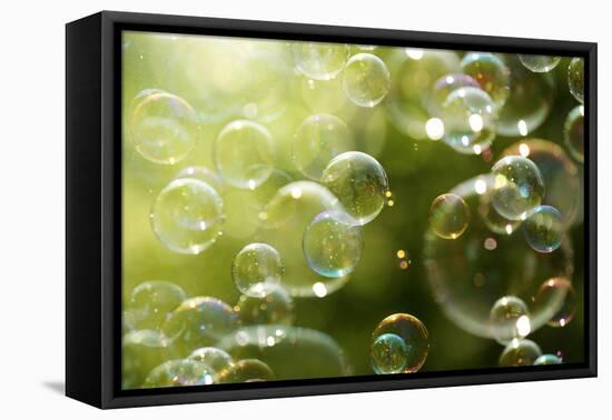 Soap Bubbles Floating in the Air as the Summer Sun Sets-Flynt-Framed Premier Image Canvas