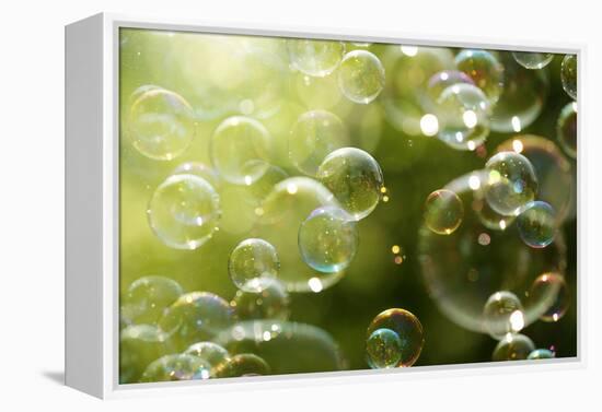 Soap Bubbles Floating in the Air as the Summer Sun Sets-Flynt-Framed Premier Image Canvas