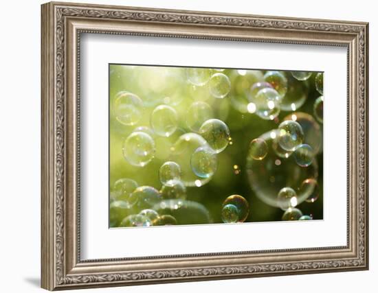 Soap Bubbles Floating in the Air as the Summer Sun Sets-Flynt-Framed Photographic Print
