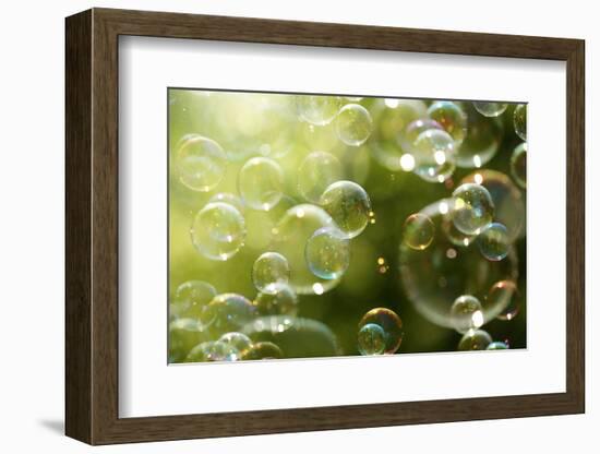 Soap Bubbles Floating in the Air as the Summer Sun Sets-Flynt-Framed Photographic Print