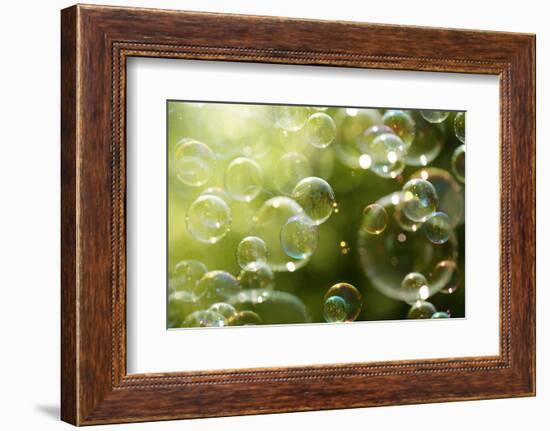 Soap Bubbles Floating in the Air as the Summer Sun Sets-Flynt-Framed Photographic Print