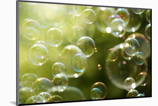 Soap Bubbles Floating in the Air as the Summer Sun Sets-Flynt-Mounted Photographic Print