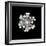 Soap Bubbles on a Dodecahedral Frame-Rapson Rapson-Framed Premium Photographic Print