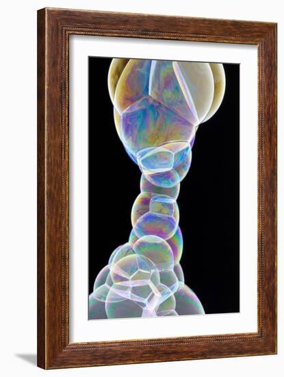 Soap Bubbles-Lawrence Lawry-Framed Photographic Print