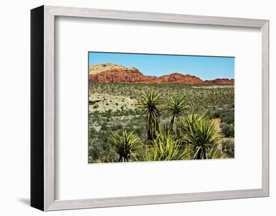 Soap tree yucca, yucca elata, Red Rock Canyon, National Conservation Area, Nevada, USA-Michel Hersen-Framed Photographic Print