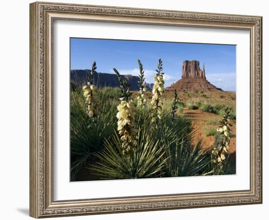 Soapweed Yucca. Monument Valley Navajo Tribal Park, Arizona, Usa 2007-Philippe Clement-Framed Photographic Print