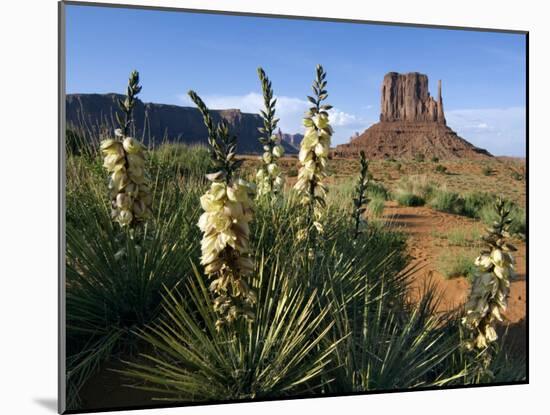 Soapweed Yucca. Monument Valley Navajo Tribal Park, Arizona, Usa 2007-Philippe Clement-Mounted Photographic Print