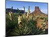 Soapweed Yucca. Monument Valley Navajo Tribal Park, Arizona, Usa 2007-Philippe Clement-Mounted Photographic Print