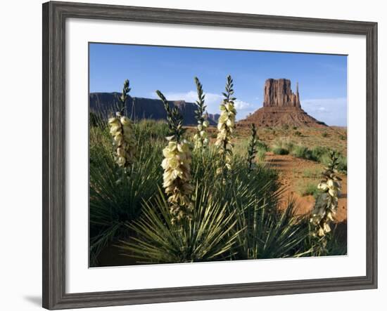 Soapweed Yucca. Monument Valley Navajo Tribal Park, Arizona, Usa 2007-Philippe Clement-Framed Photographic Print