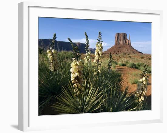 Soapweed Yucca. Monument Valley Navajo Tribal Park, Arizona, Usa 2007-Philippe Clement-Framed Photographic Print