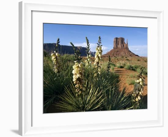 Soapweed Yucca. Monument Valley Navajo Tribal Park, Arizona, Usa 2007-Philippe Clement-Framed Photographic Print