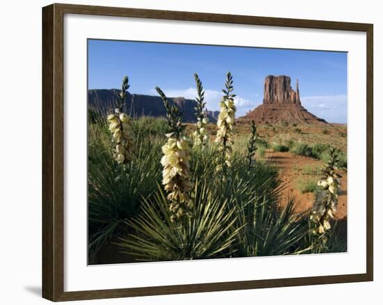 Soapweed Yucca. Monument Valley Navajo Tribal Park, Arizona, Usa 2007-Philippe Clement-Framed Photographic Print