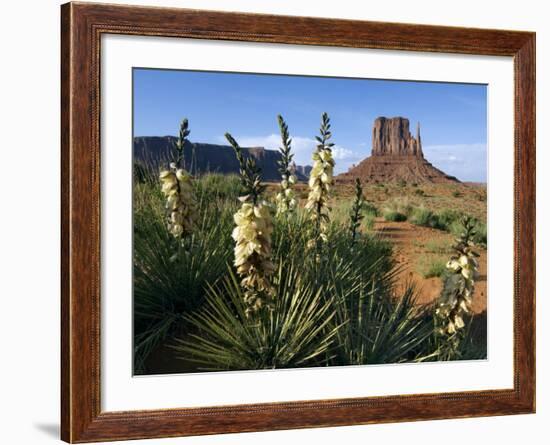 Soapweed Yucca. Monument Valley Navajo Tribal Park, Arizona, Usa 2007-Philippe Clement-Framed Photographic Print