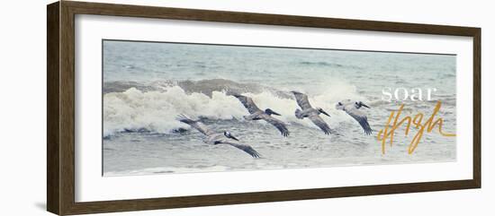 Soar High-Bruce Nawrocke-Framed Photographic Print