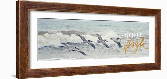 Soar High-Bruce Nawrocke-Framed Photographic Print