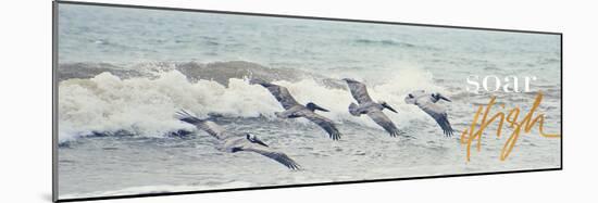 Soar High-Bruce Nawrocke-Mounted Photographic Print